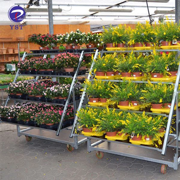 Flower Plant Trolley
