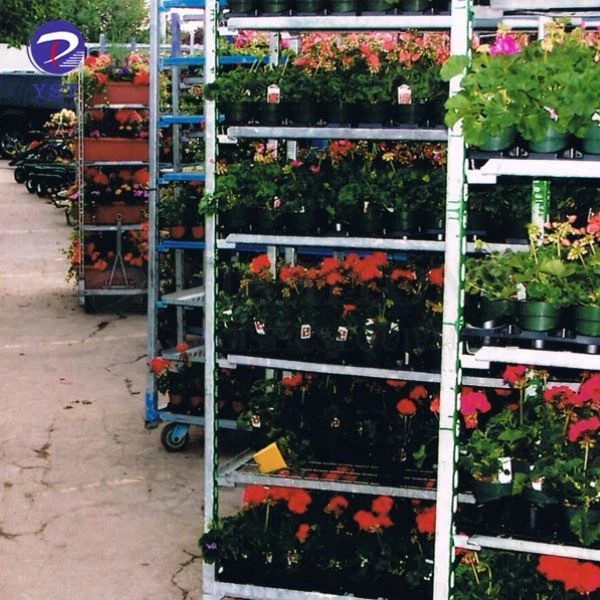 Horticultural Danish Trolleys