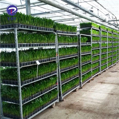 Pp police Nursery Plant Cart