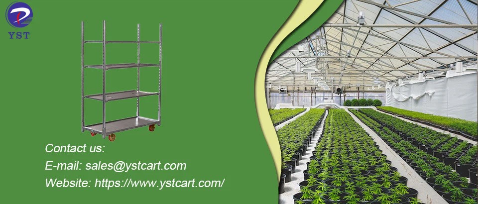 Danish Trolley 1 Danish Trolley 1